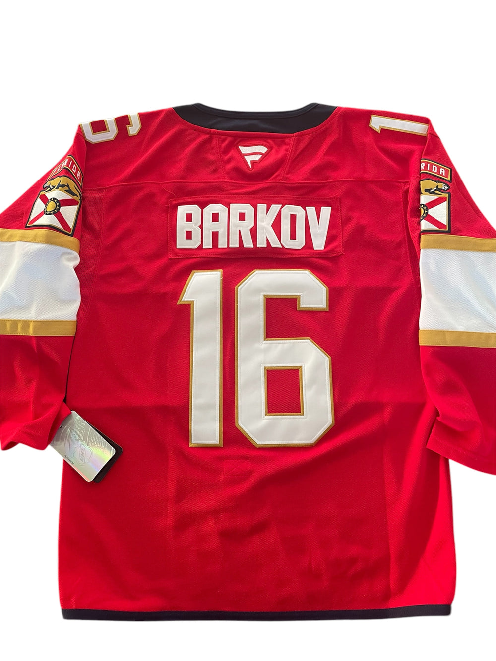 Panthers (BARKOV 16)